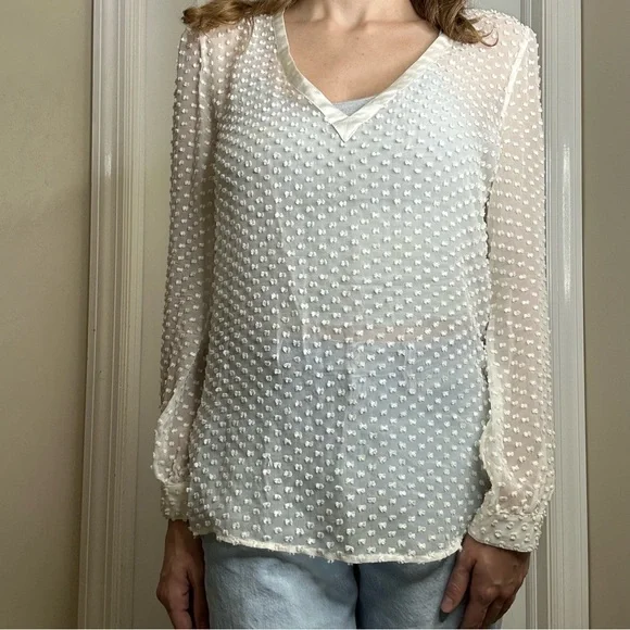 Beyond Vintage Swiss Dot V-Neck Long Sleeve Sheer Silk Top in White - Small - Picture 4 of 16
